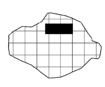 Cross section of the model Cross section of the model